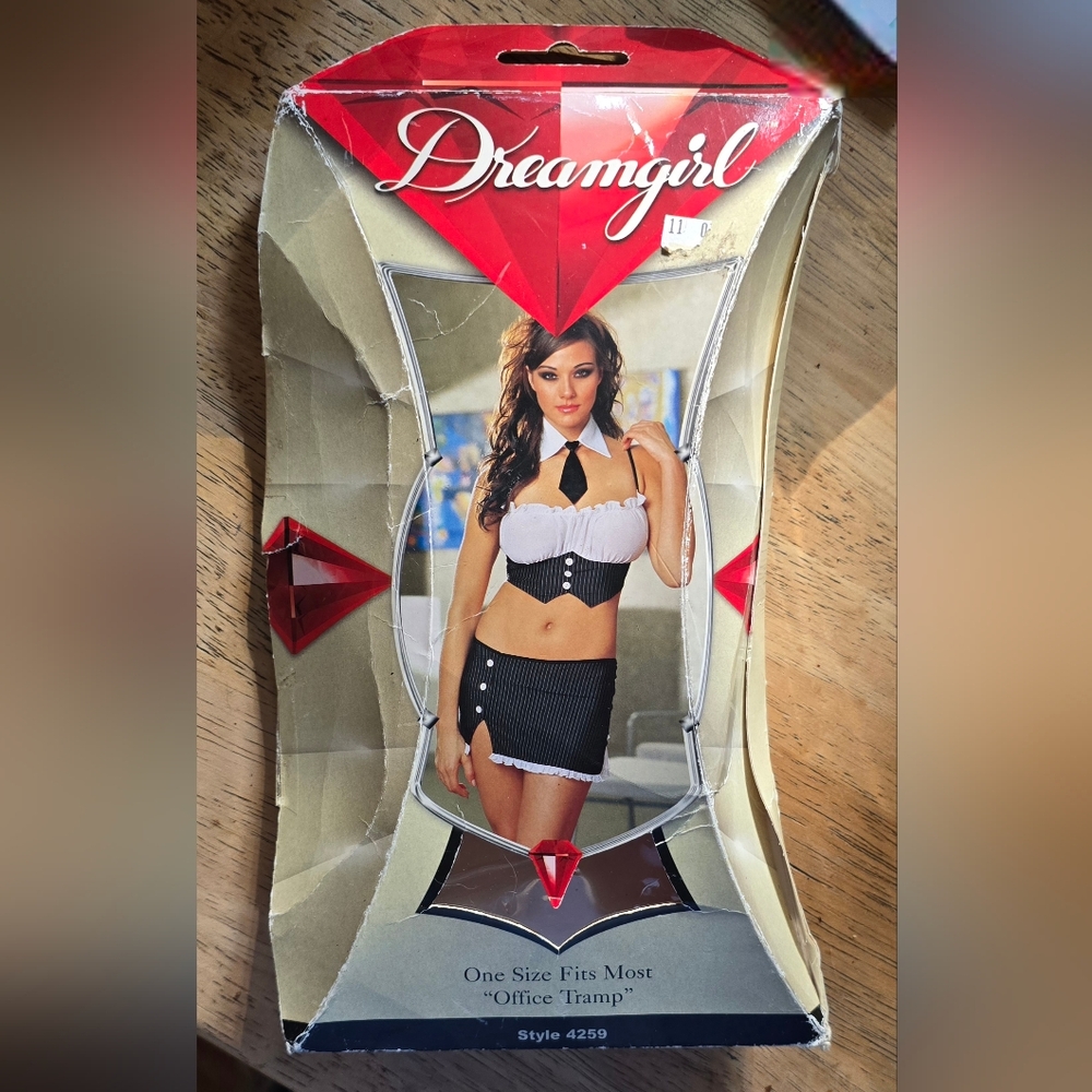 Dreamgirl Role Play Halloween Costume Tramp